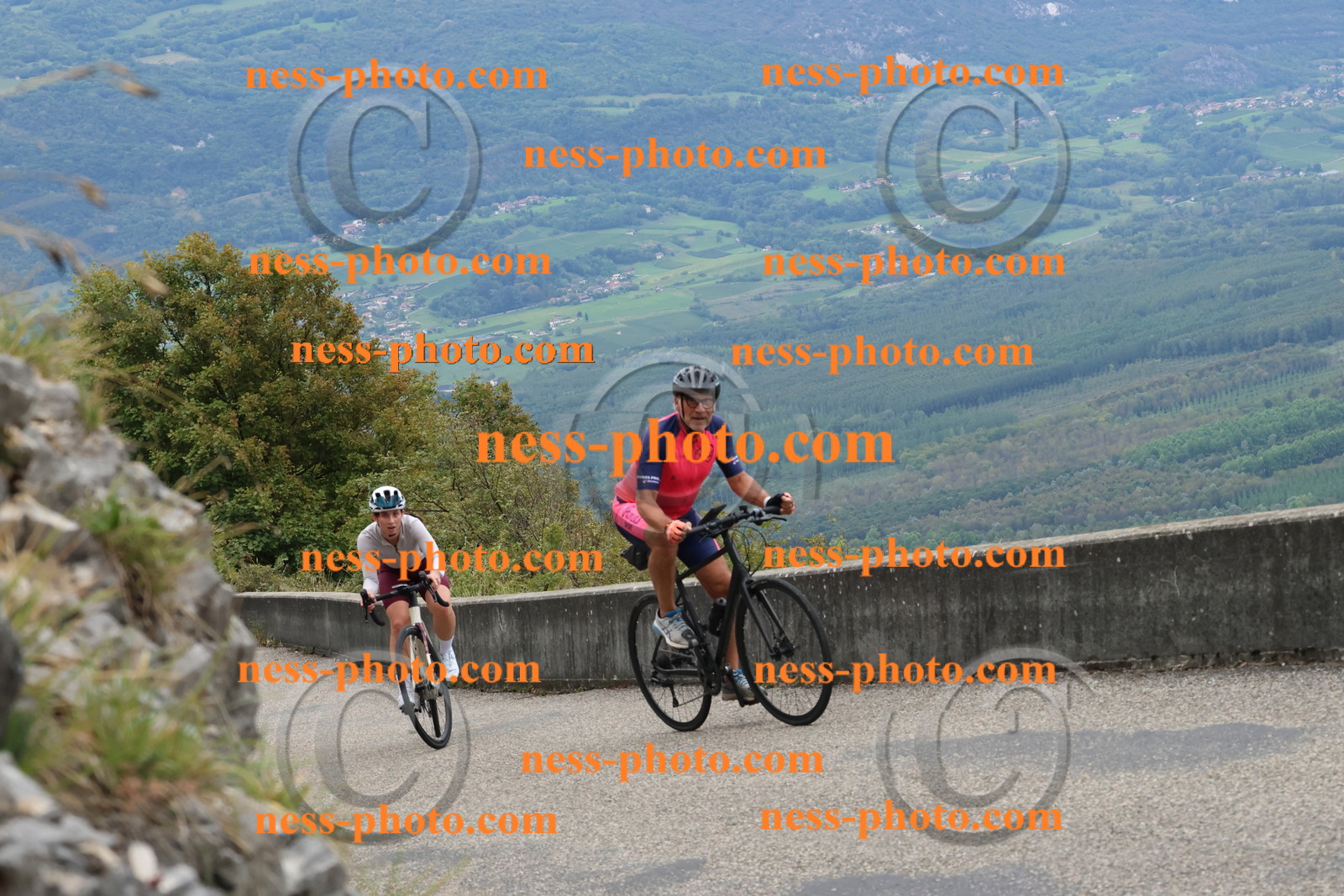 Col du Grand Colombier (1523).JPG