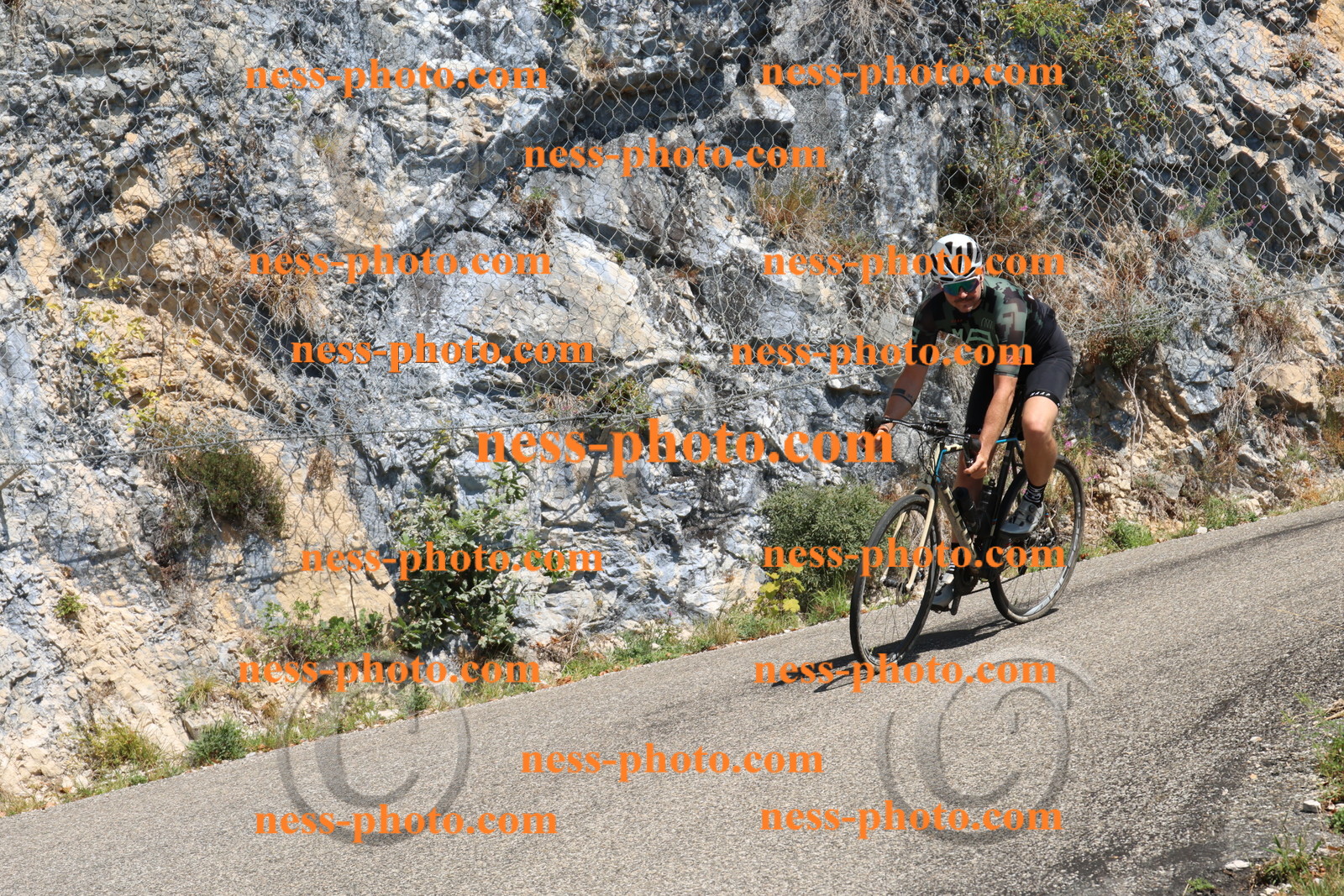 Col du Grand Colombier (474).JPG