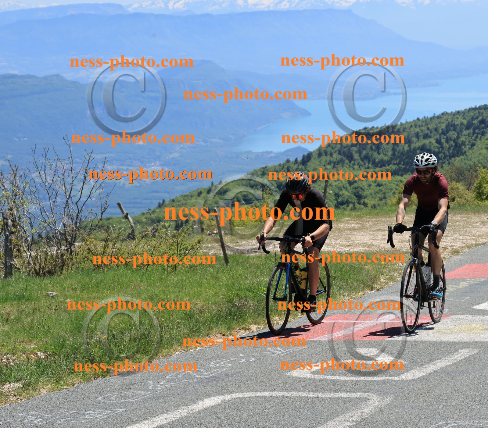 Col du Grand Colombier (446).JPG