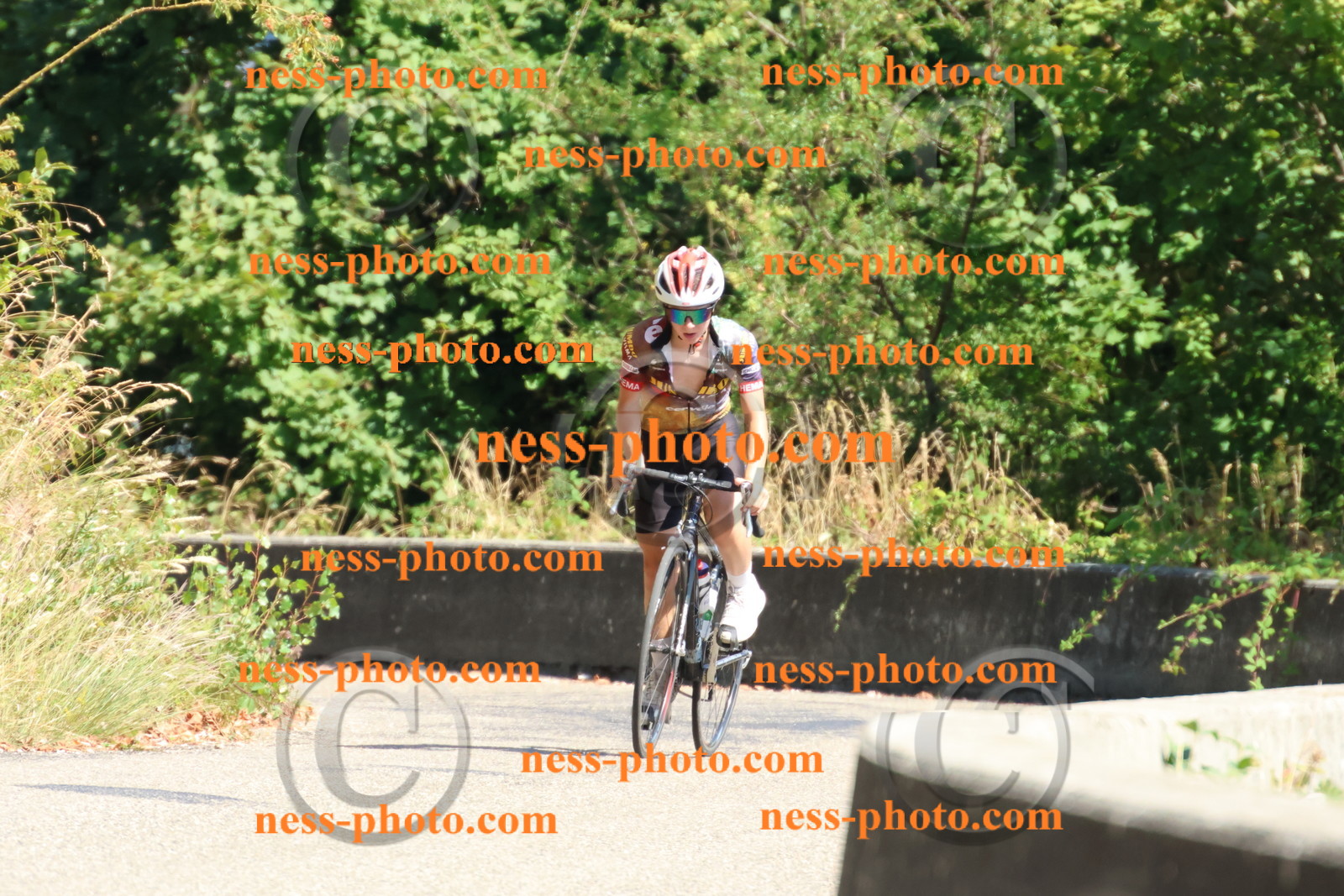 Col du Grand Colombier (618).JPG