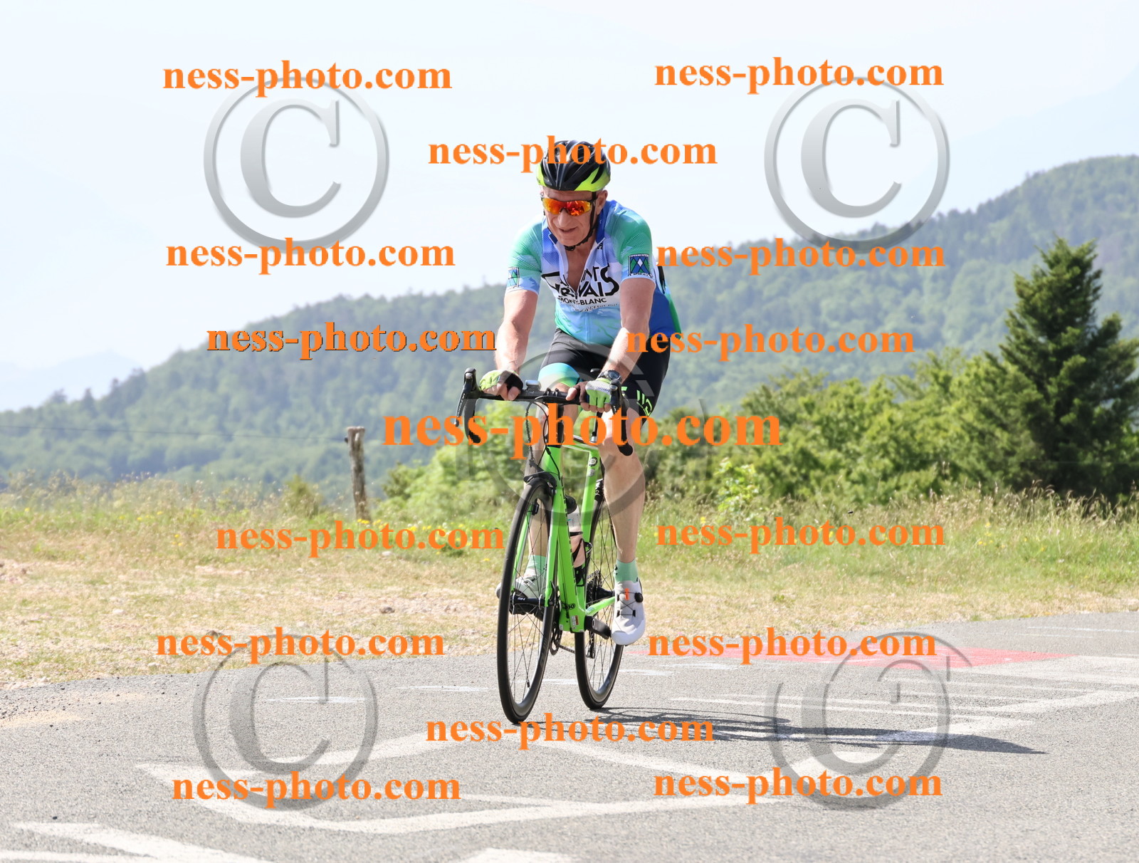 Col du grand Colombier (906).JPG