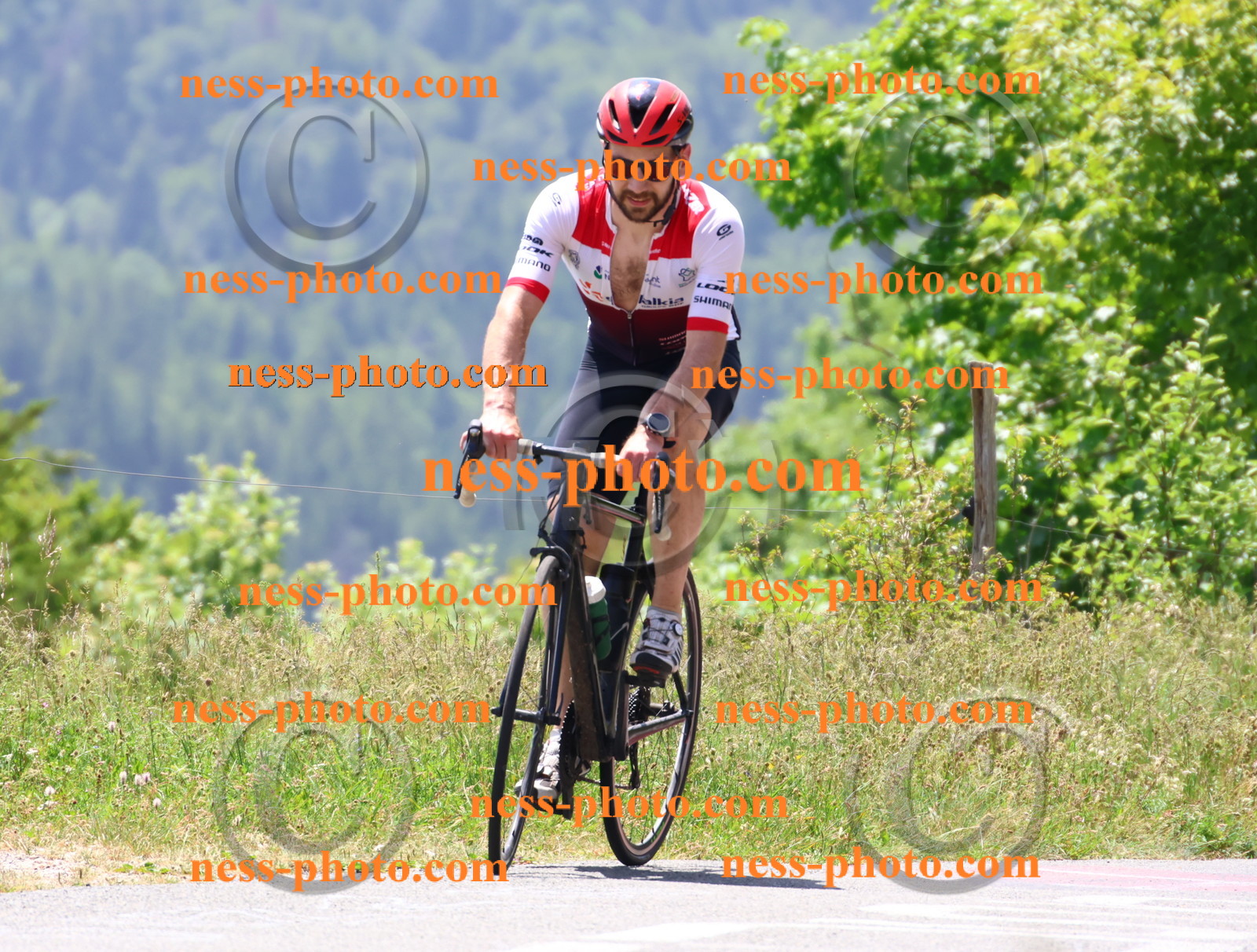 Col du grand Colombier (2743).JPG