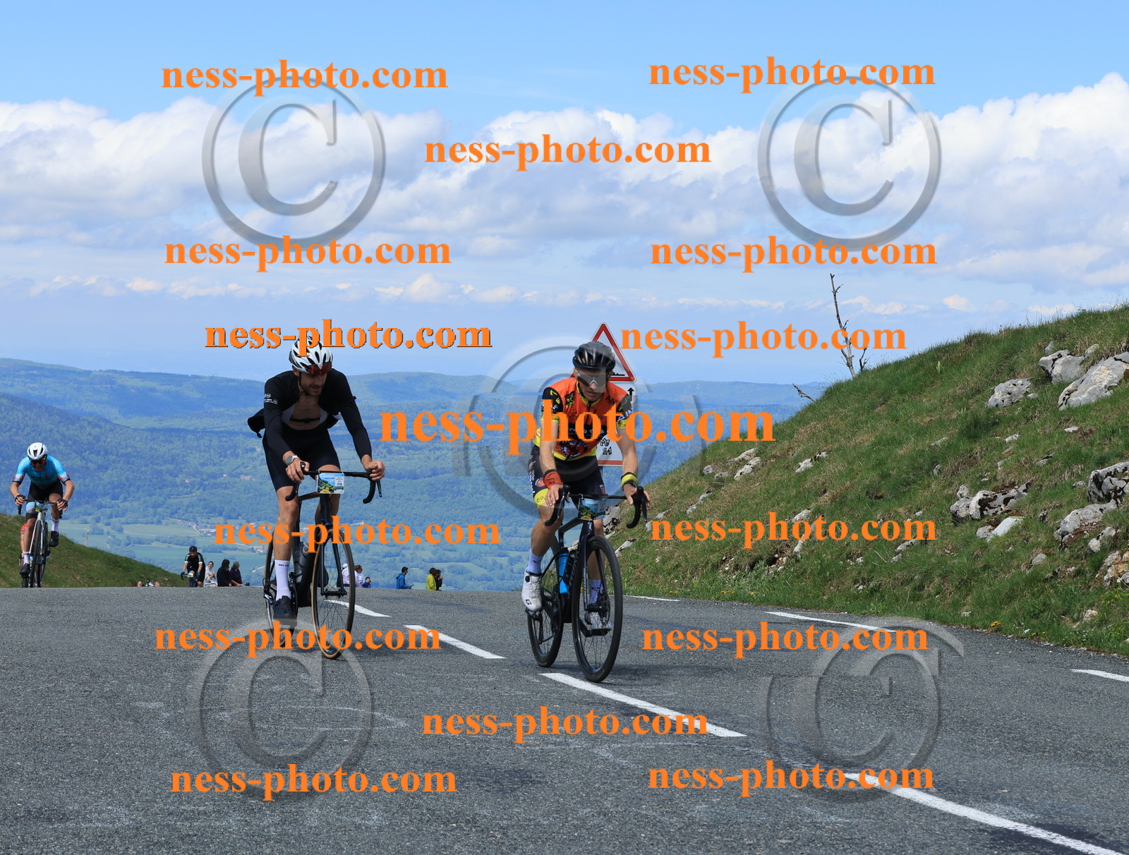 Col du Grand Colombier (1481).JPG