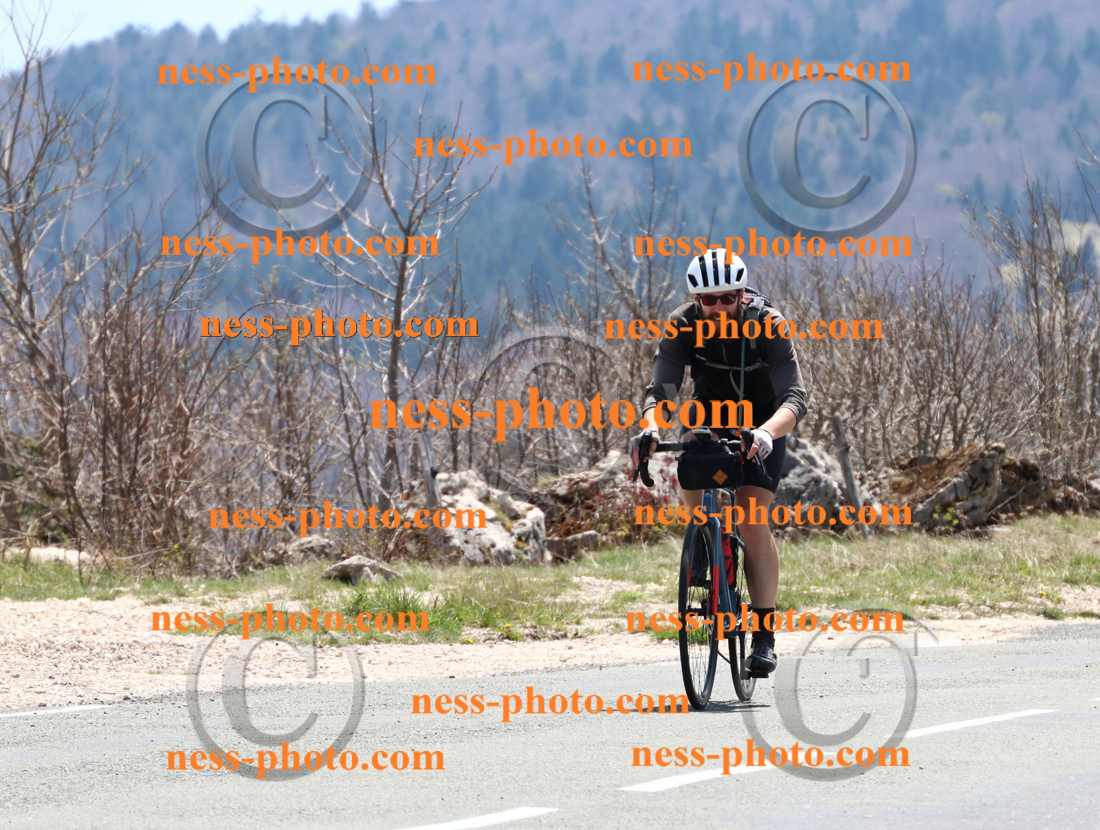 Col du Grand Colombier (327).JPG