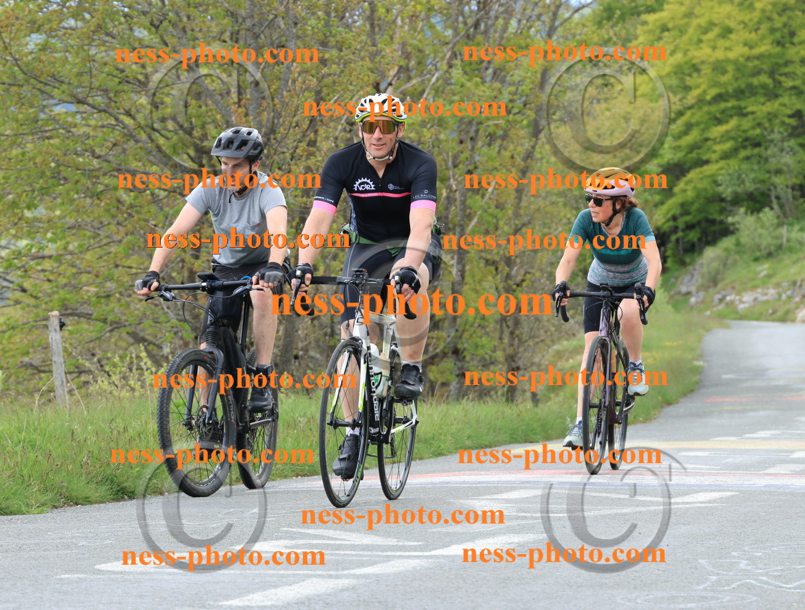 Col du Grand Colombier (590).JPG