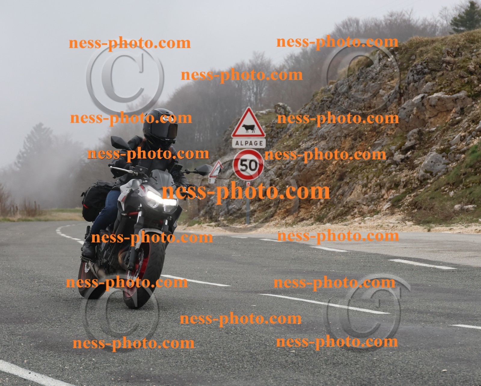 Col du Grand Colombier (11).JPG