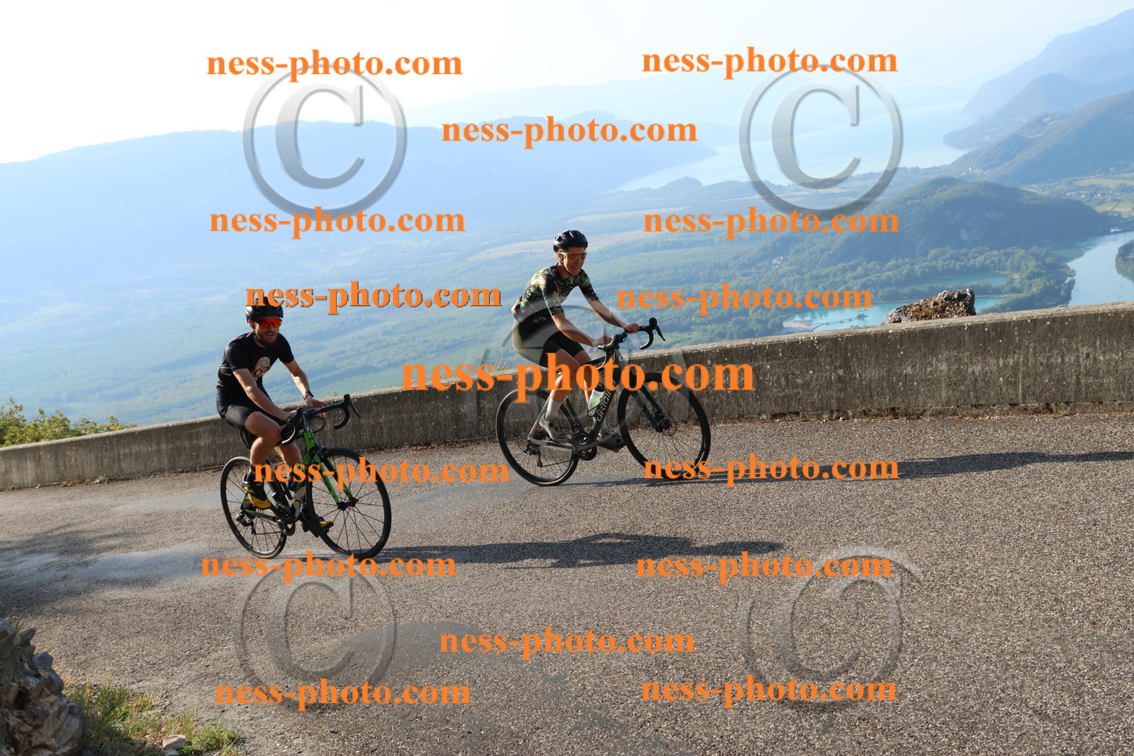 Col du Grand Colombier (466).JPG