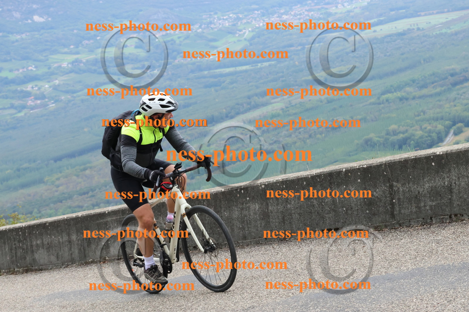 Col du Grand Colombier (774).JPG