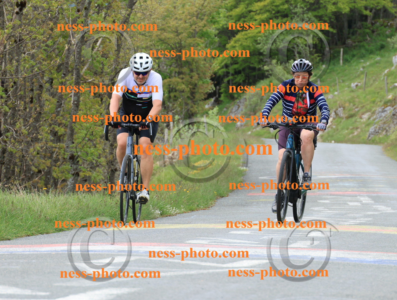 Col du Grand Colombier (567).JPG