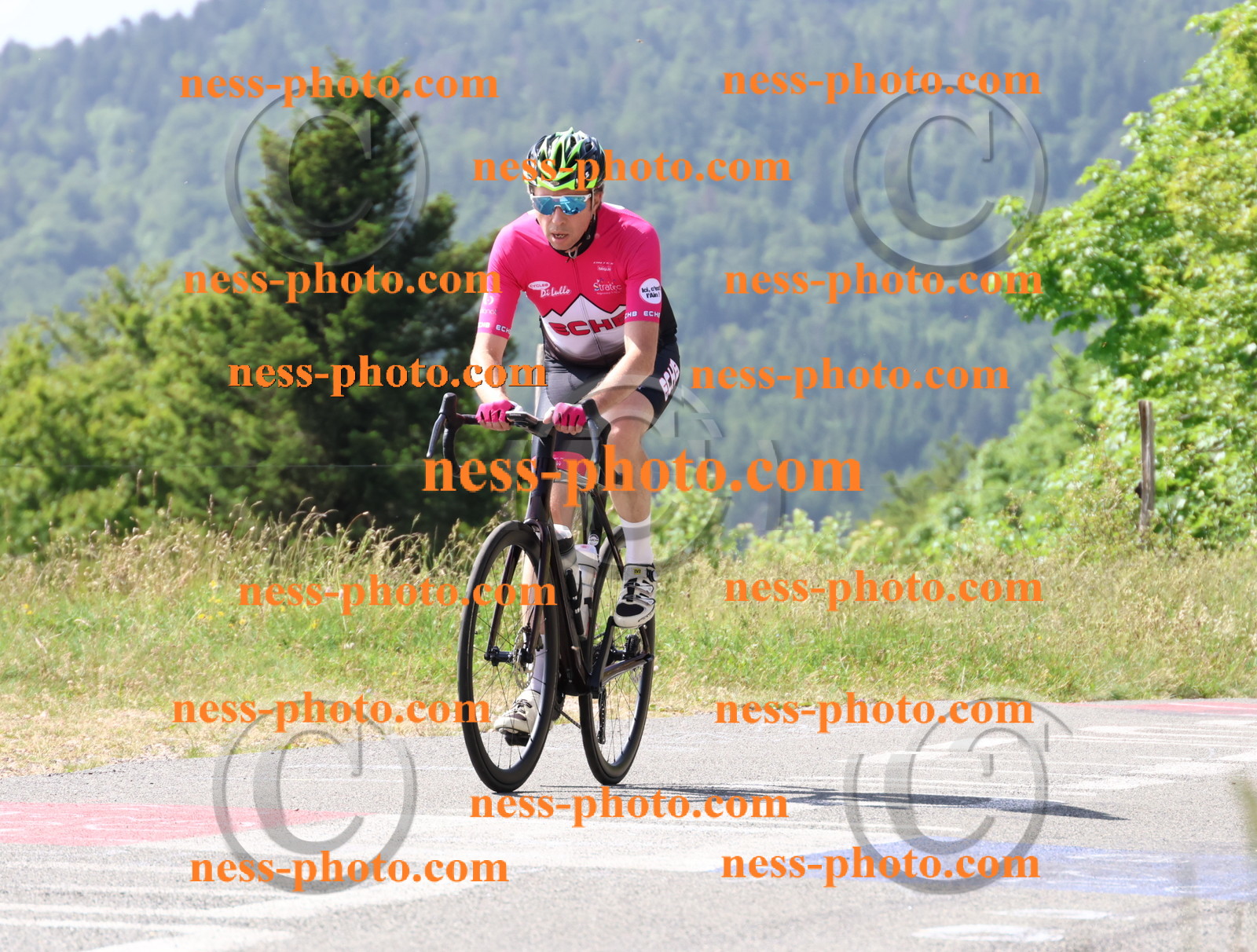 Col du grand Colombier (971).JPG
