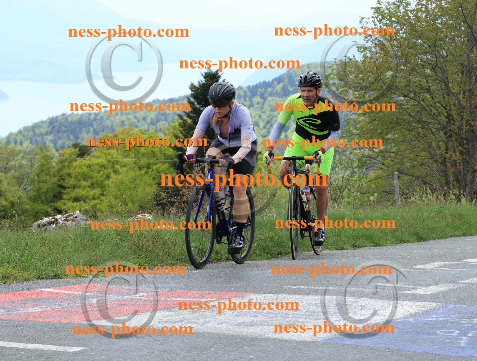 Col du Grand Colombier (537).JPG