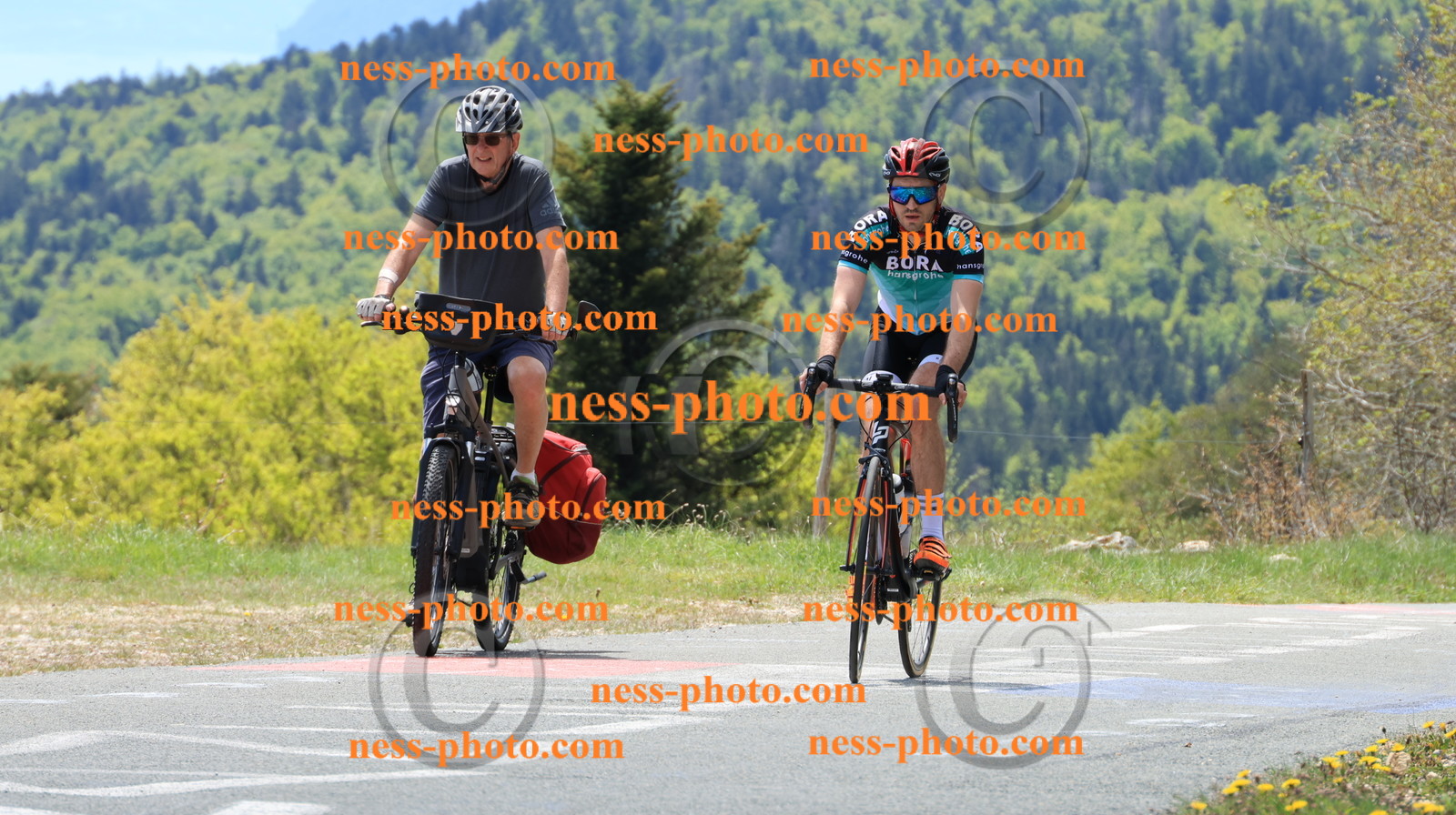 Col du grand Colombier (335).JPG