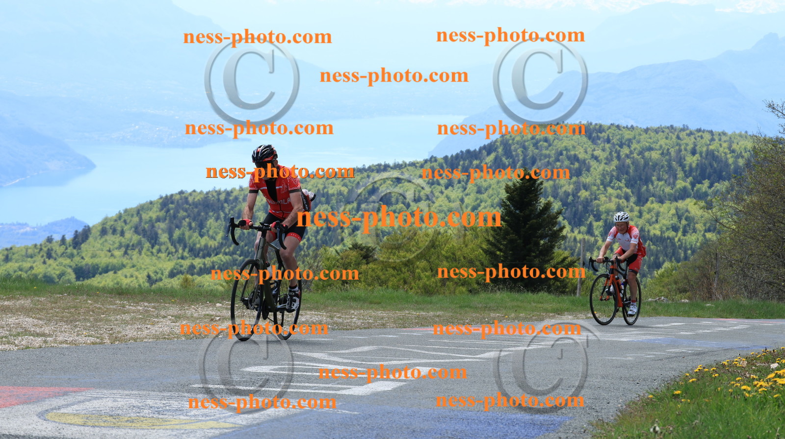 Col du grand Colombier (308).JPG