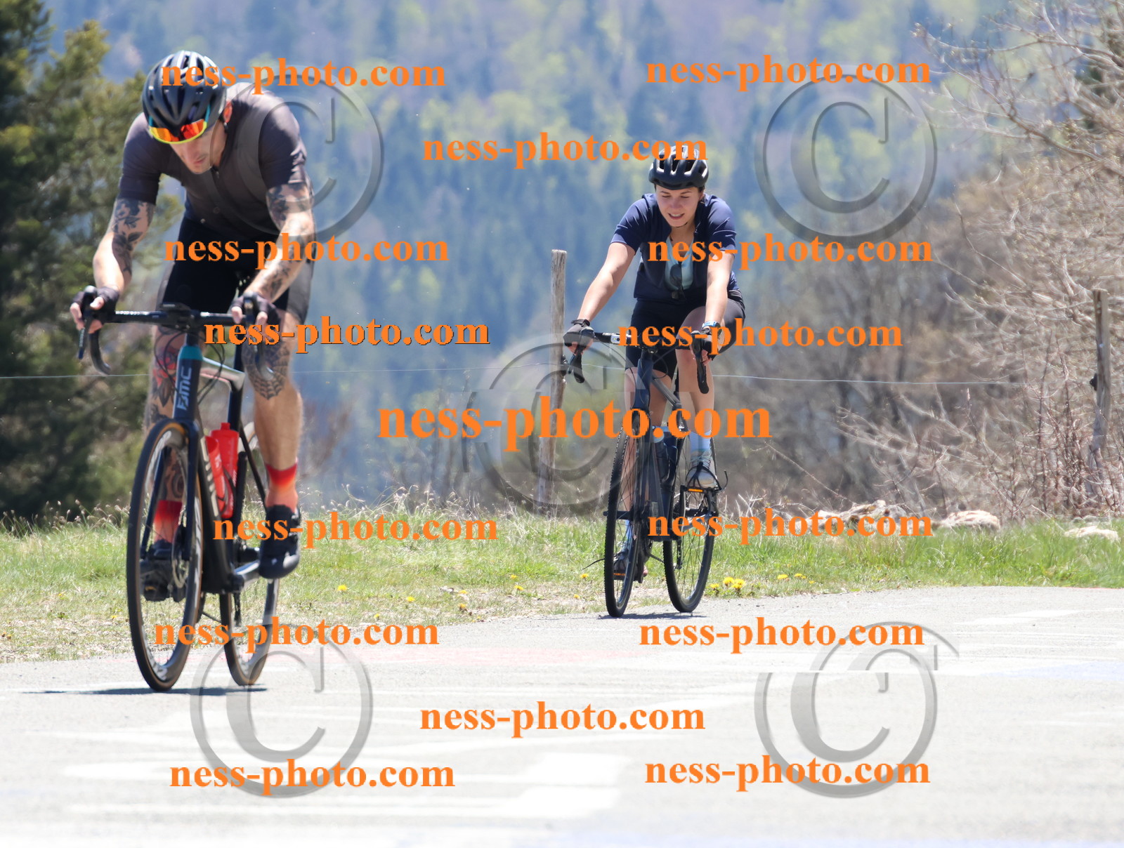 Col du Grand Colombier (620).JPG