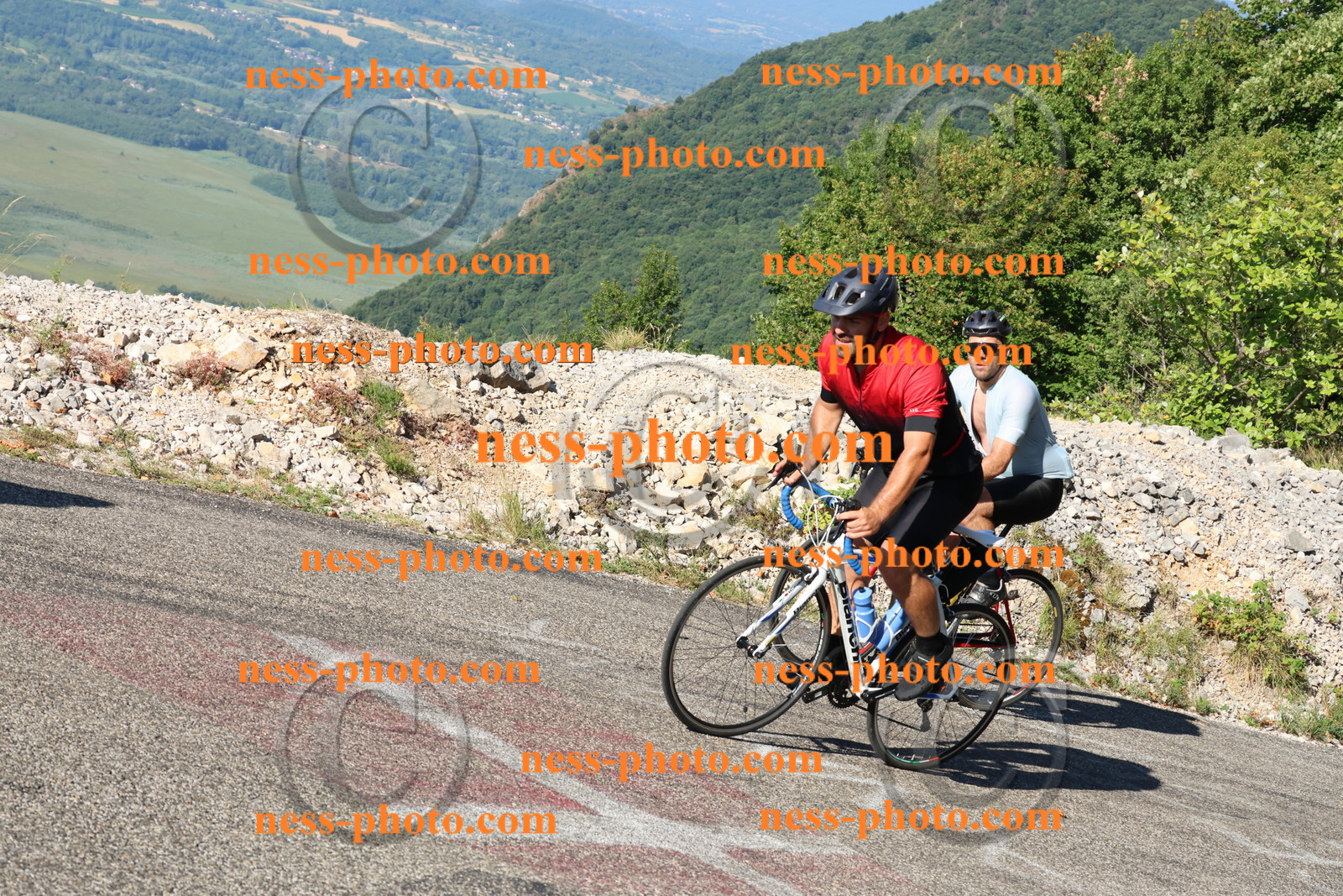 Col du Grand Colombier (834).JPG