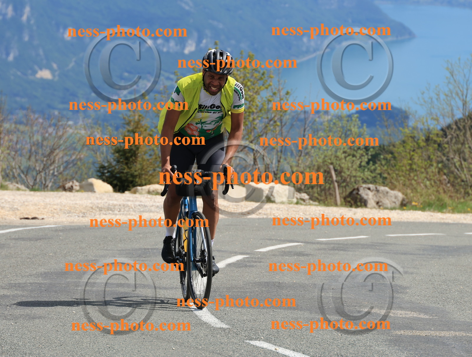 Col du grand Colombier (752).JPG