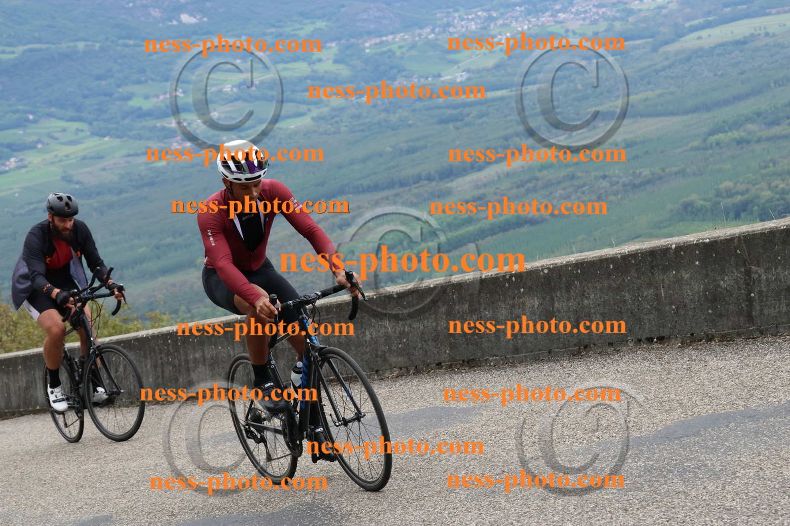 Col du Grand Colombier (1513).JPG