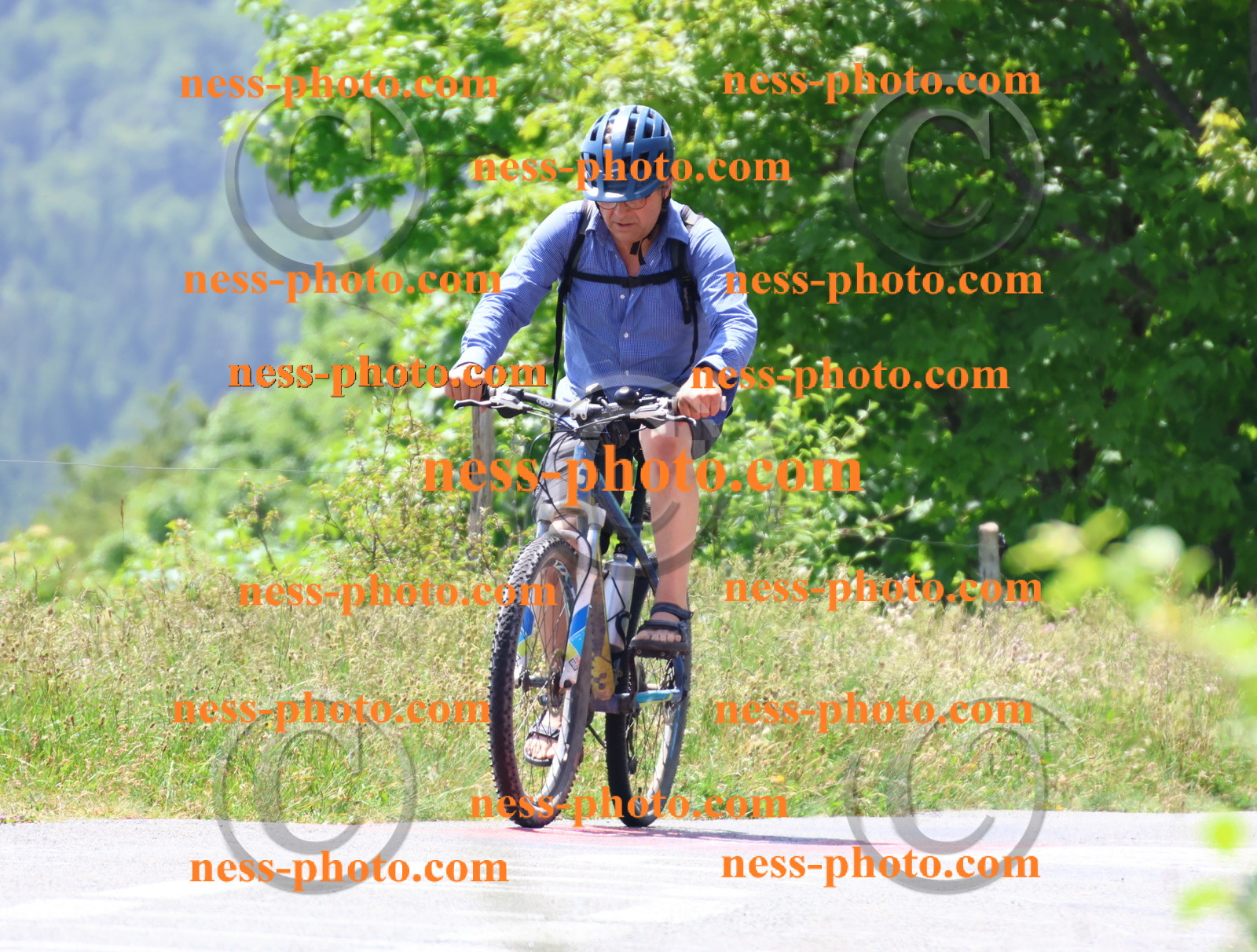 Col du grand Colombier (2564).JPG