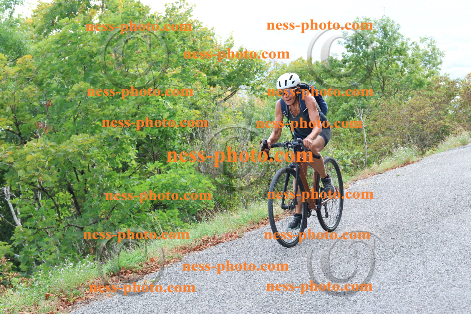 Col du Grand Colombier (728).JPG