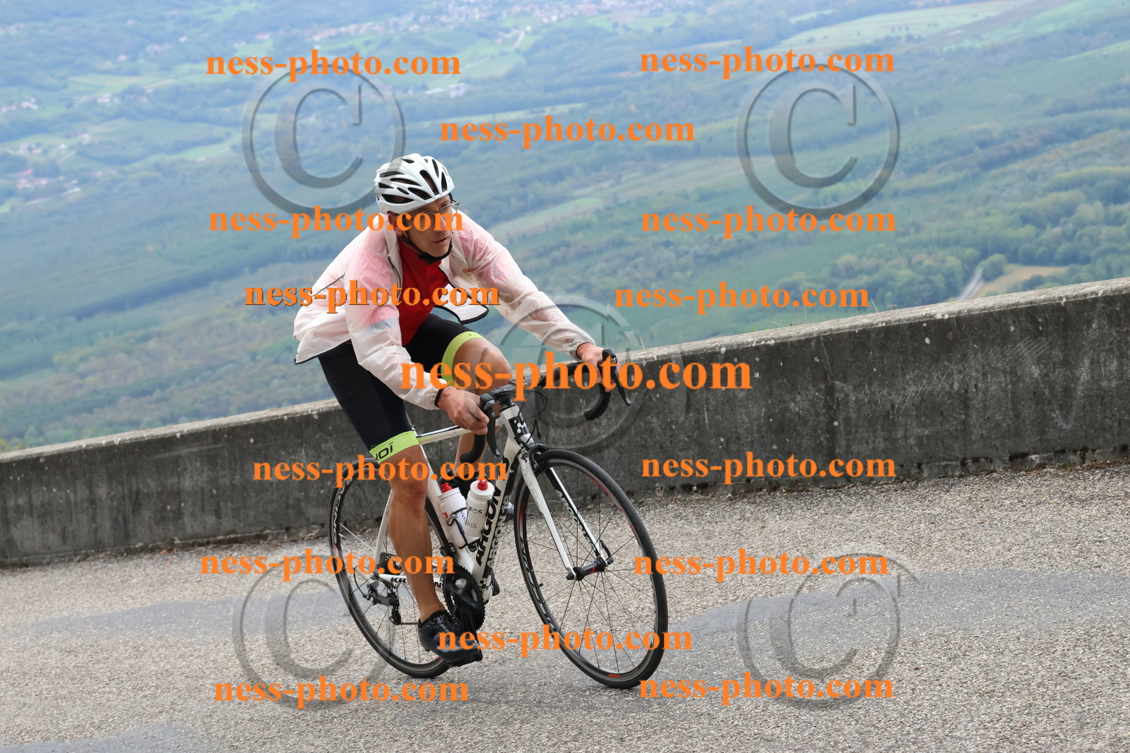 Col du Grand Colombier (511).JPG