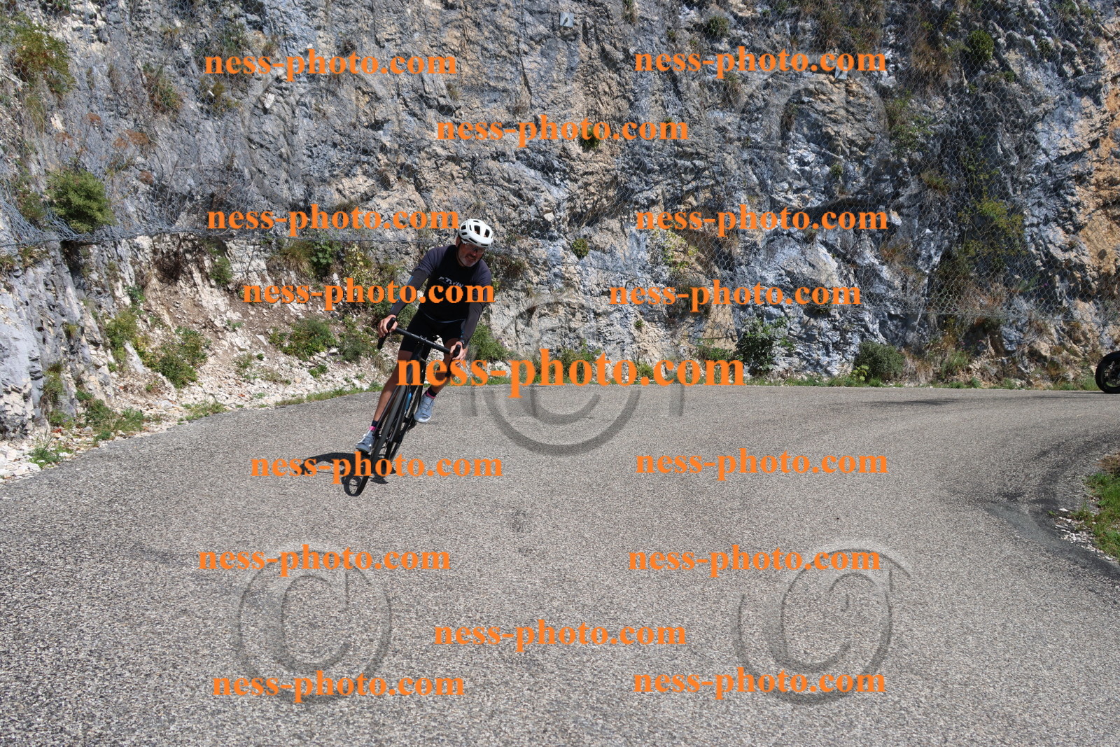 Col du Grand Colombier (206).JPG