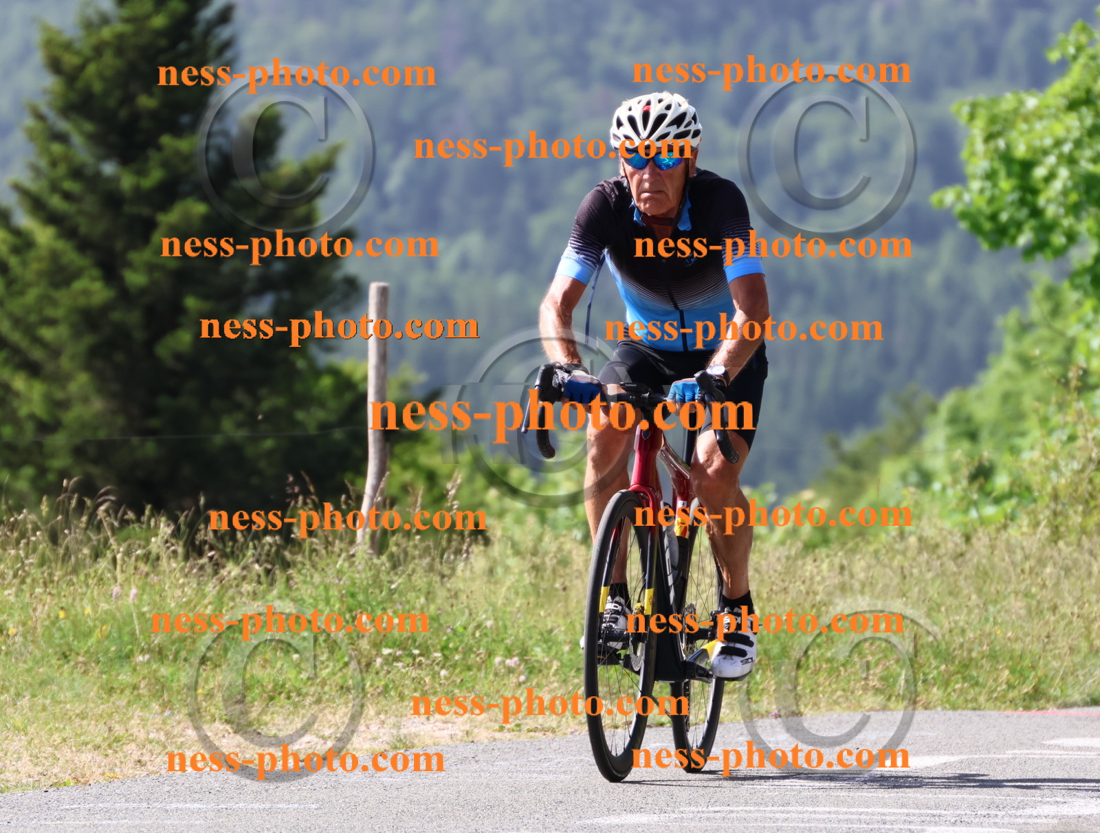 Col du grand Colombier (537).JPG