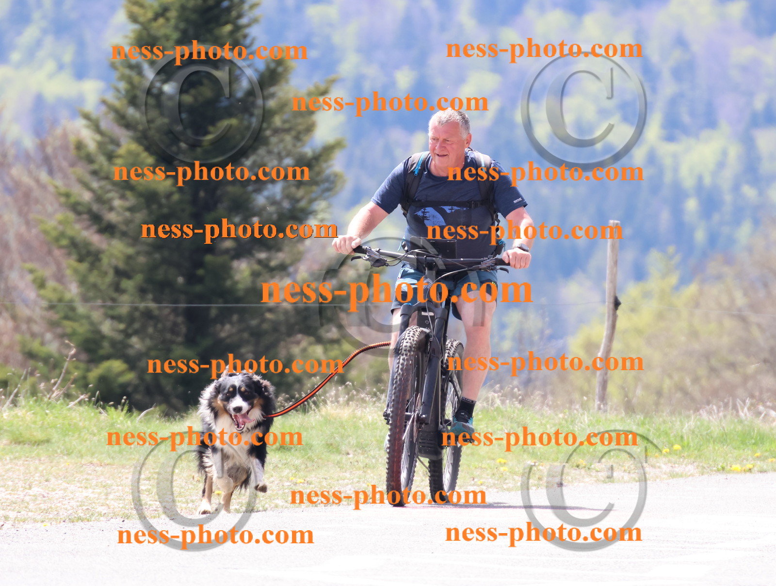 Col du Grand Colombier (122).JPG