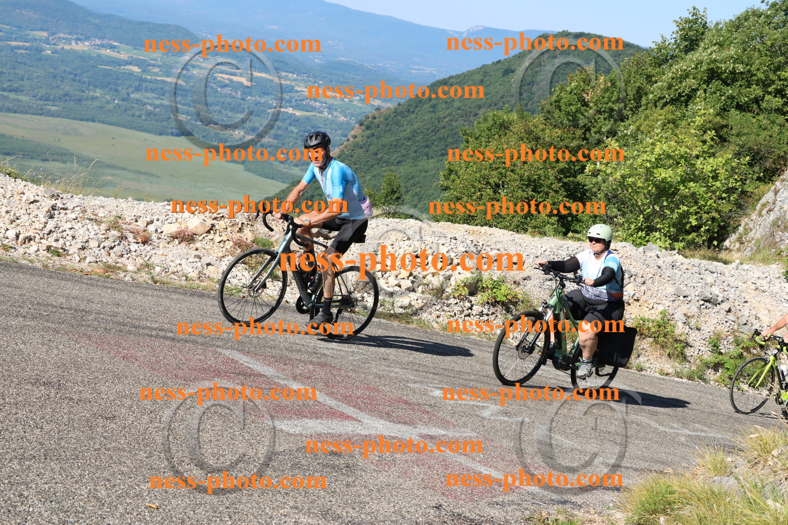 Col du Grand Colombier (1242).JPG