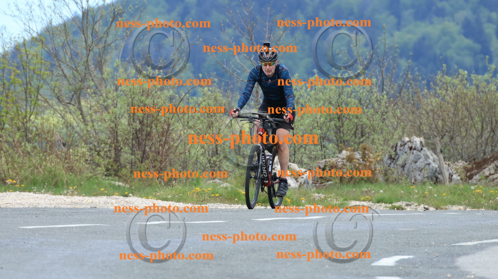 Col du grand Colombier (482).JPG