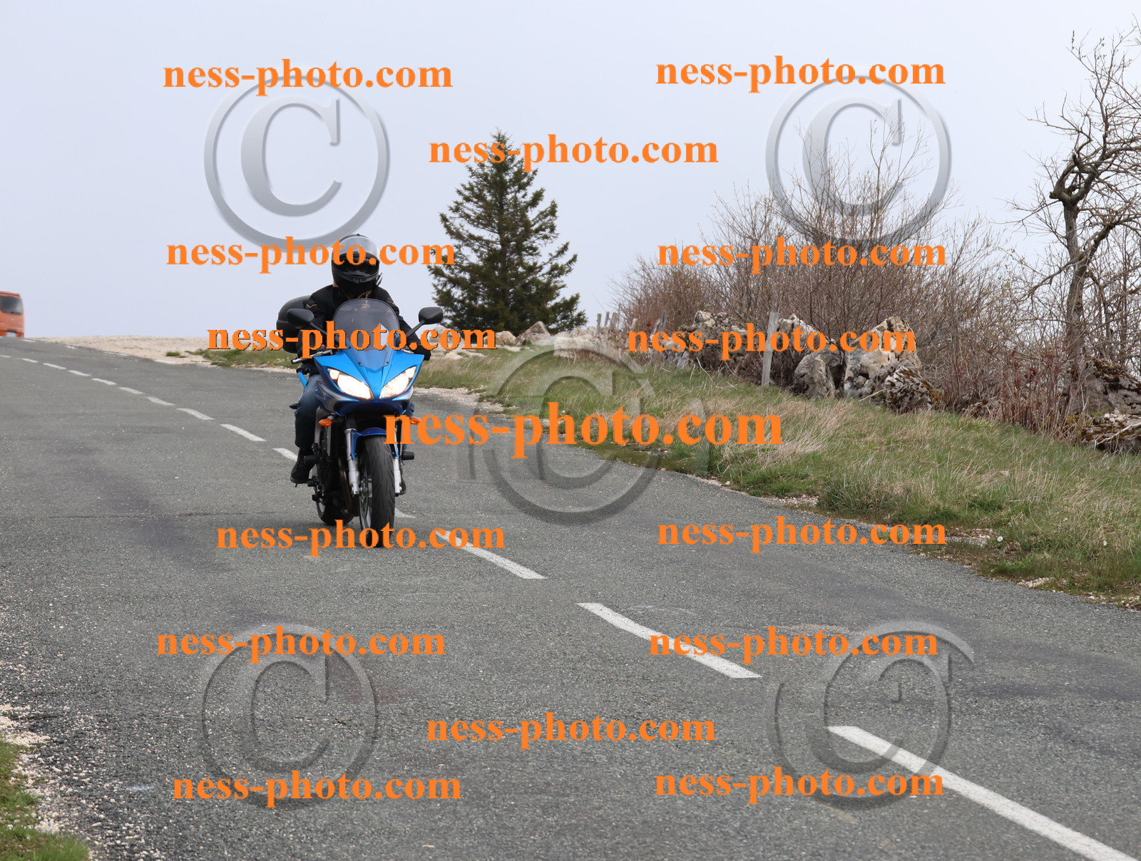 Col du Grand Colombier (94).JPG