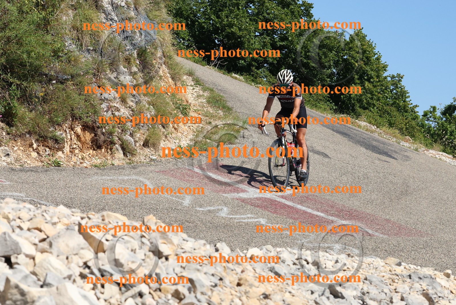 Col du Grand Colombier (580).JPG