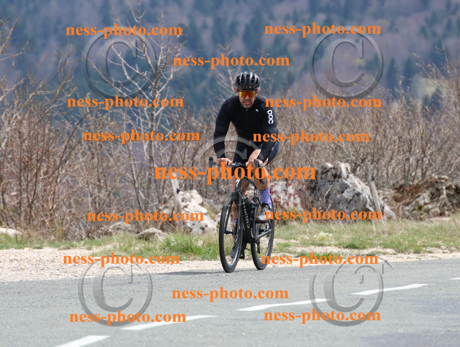 Col du Grand Colombier (394).JPG