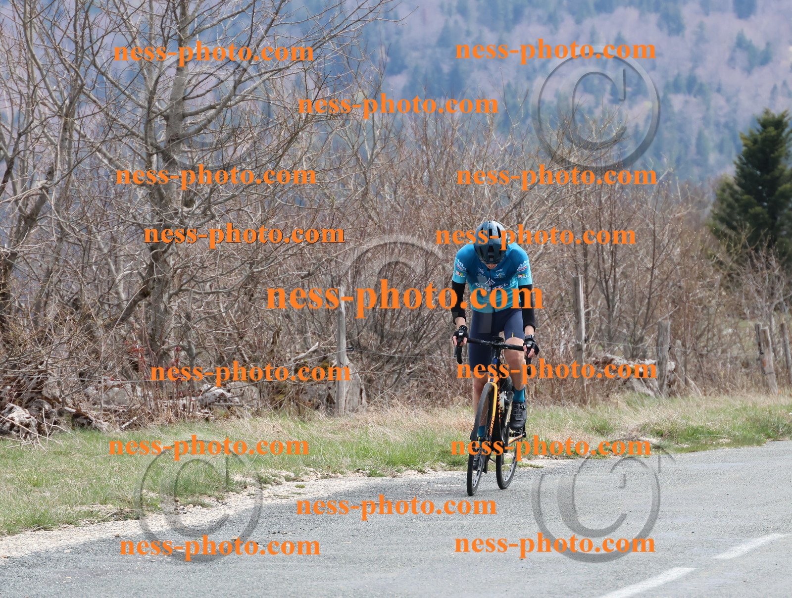 Col du Grand Colombier (369).JPG