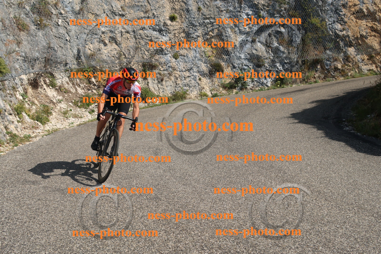 Col du Grand Colombier (2892).JPG