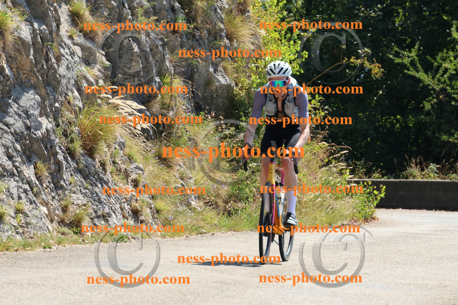 Col du Grand Colombier (258).JPG