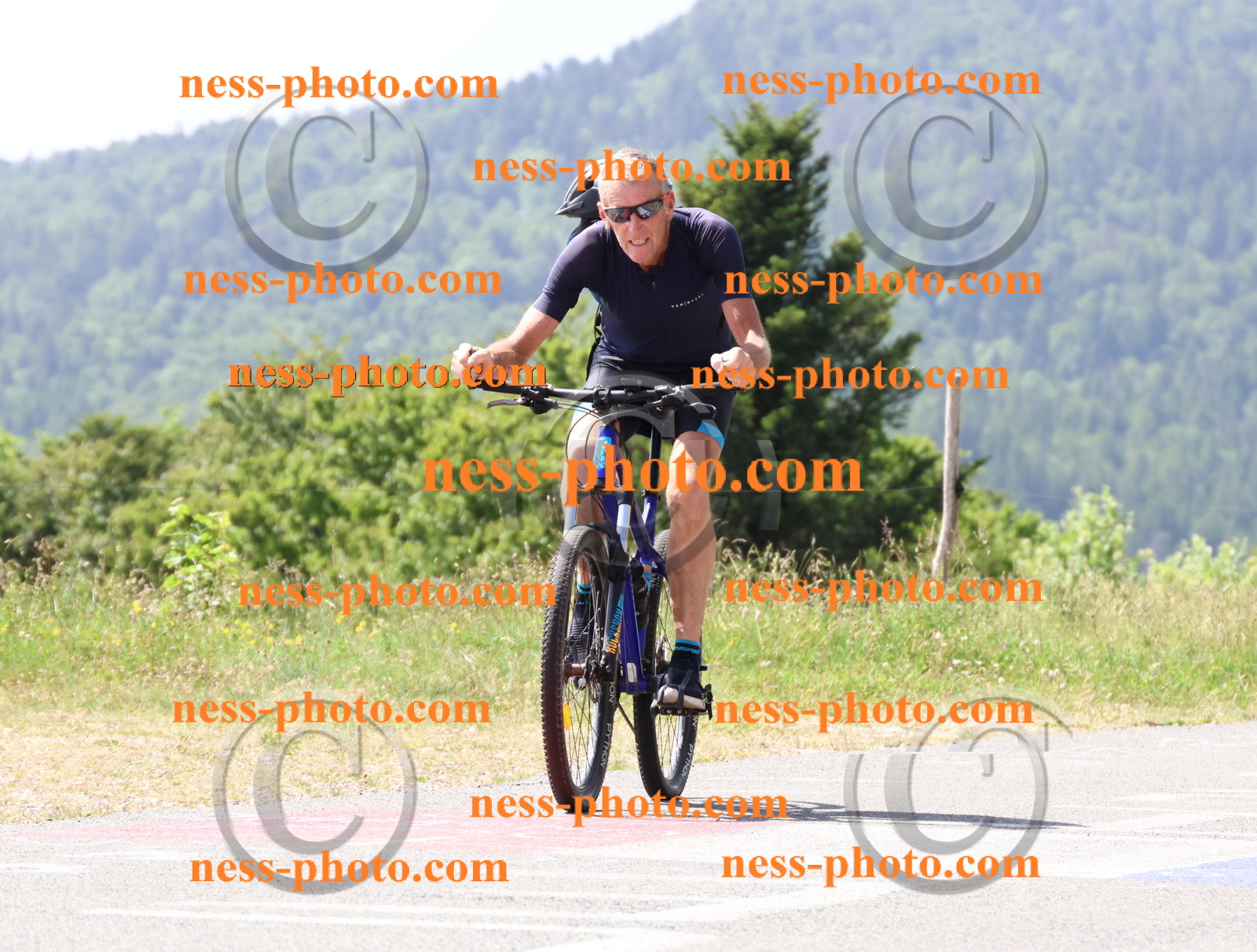 Col du grand Colombier (1421).JPG