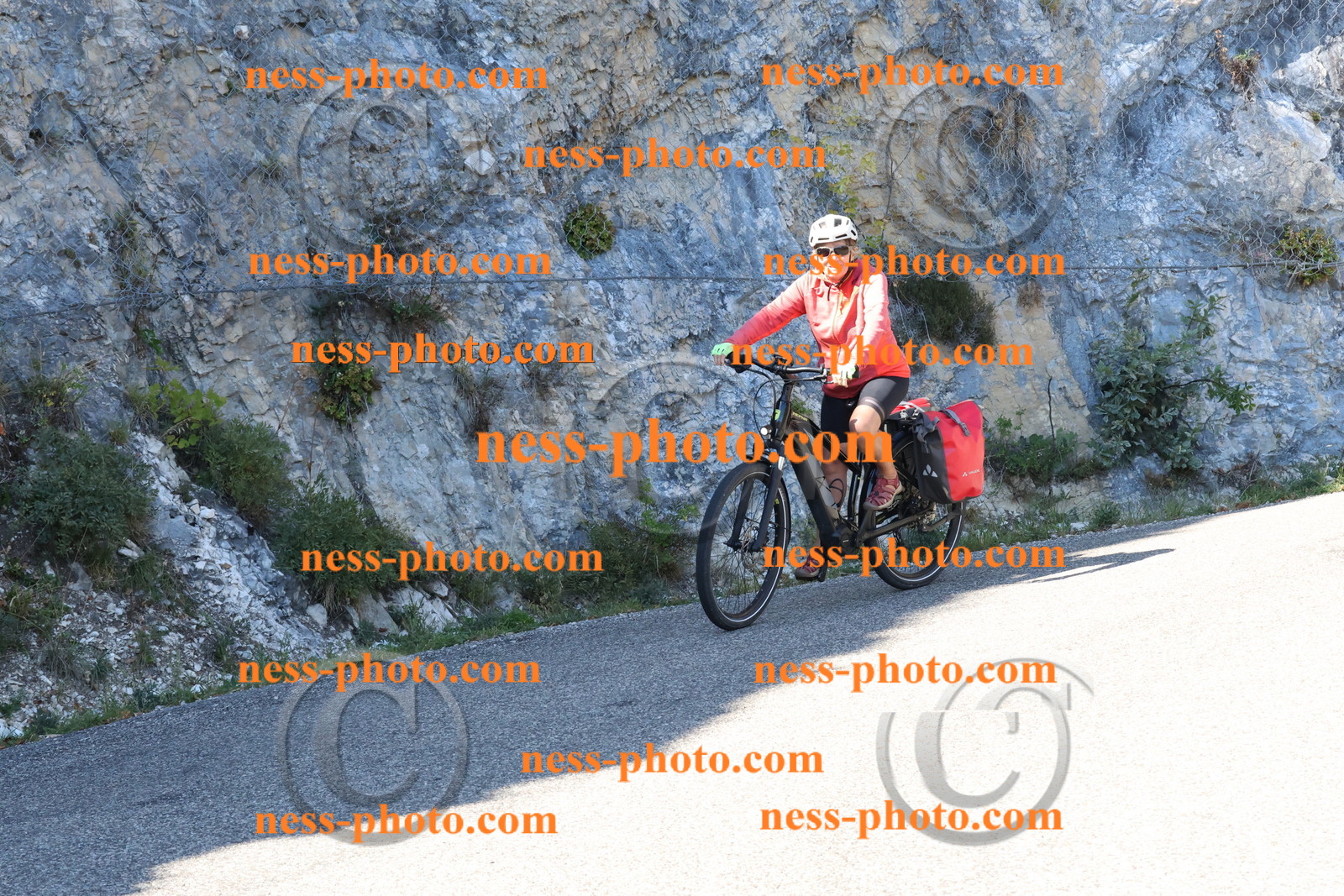 Col du Grand Colombier (503).JPG