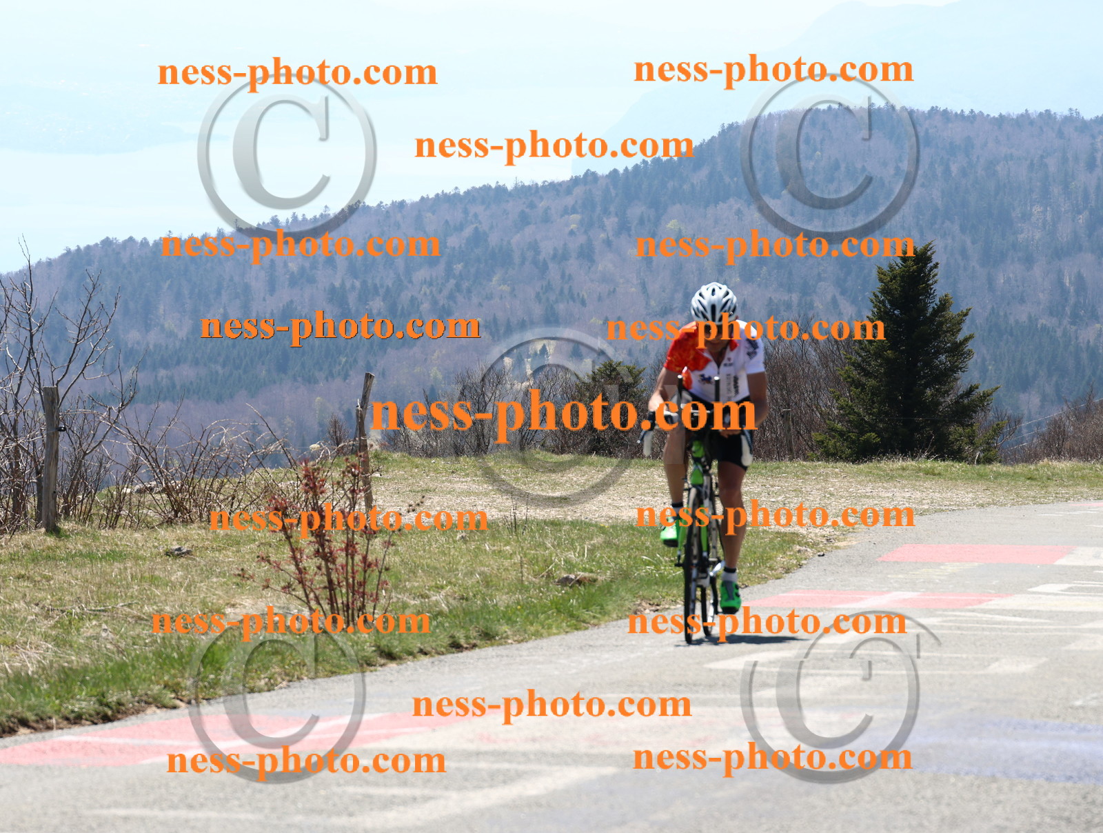 Col du Grand Colombier (196).JPG