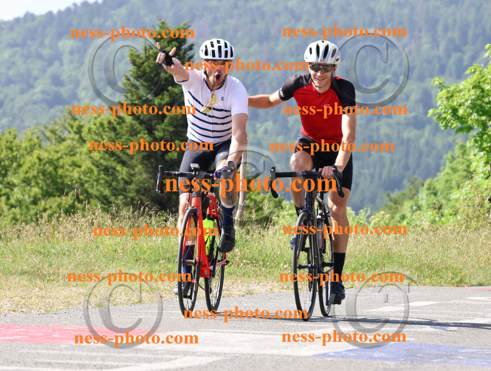 Col du grand Colombier (327).JPG