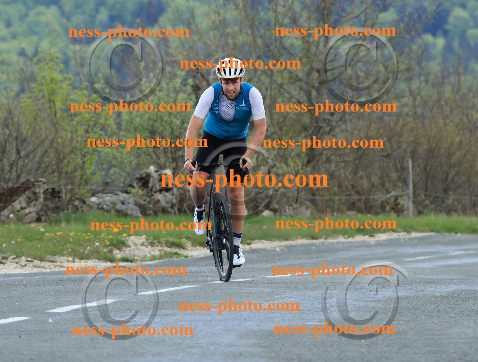 Col du grand Colombier (604).JPG