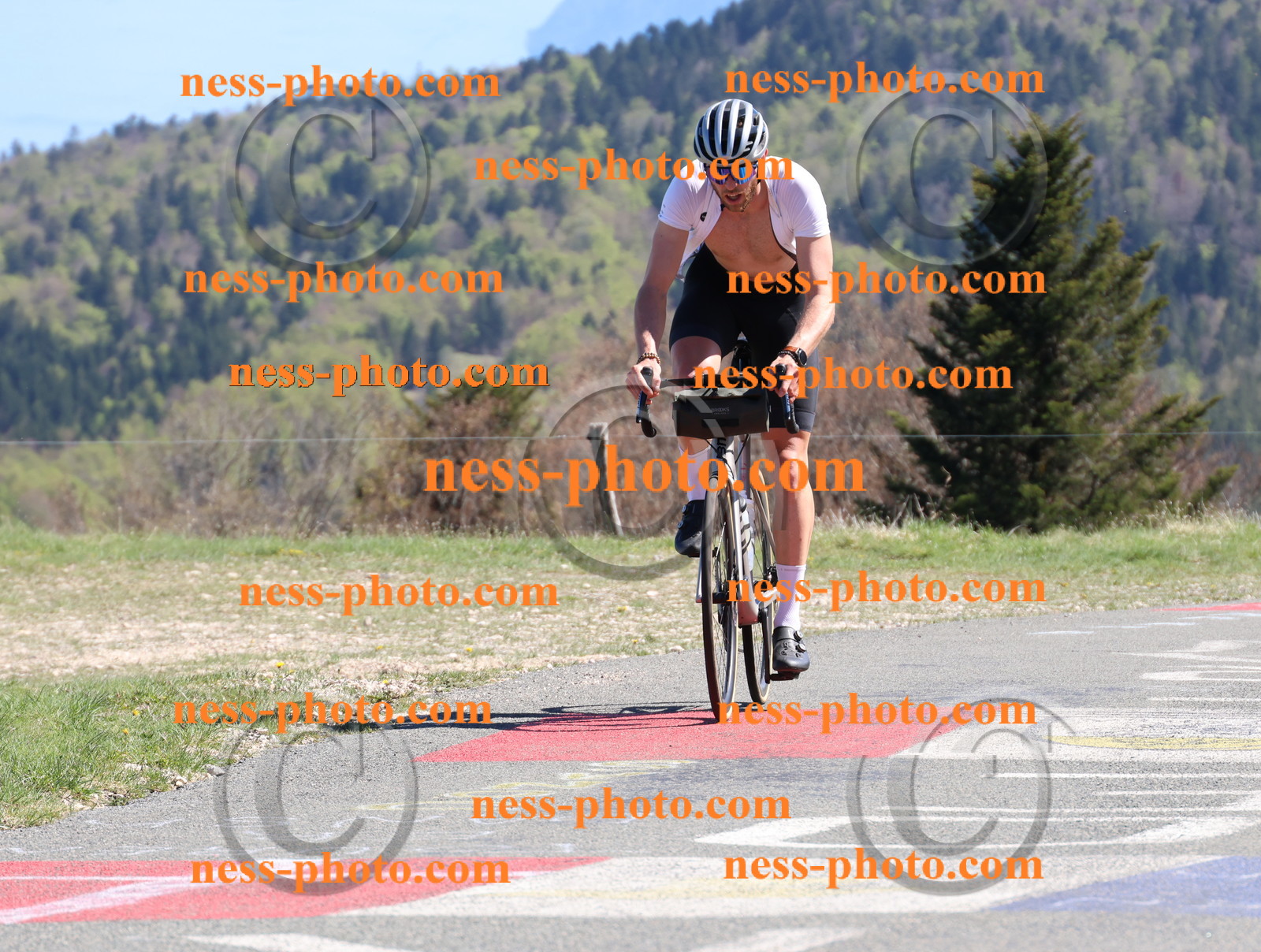 Col du Grand Colombier (1071).JPG
