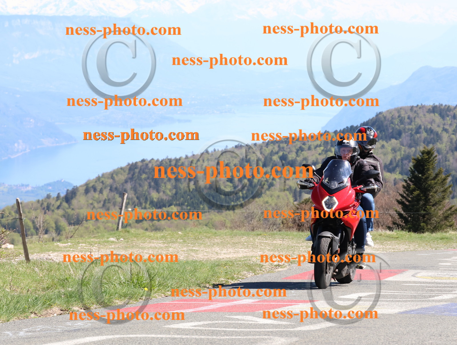 Col du Grand Colombier (370).JPG