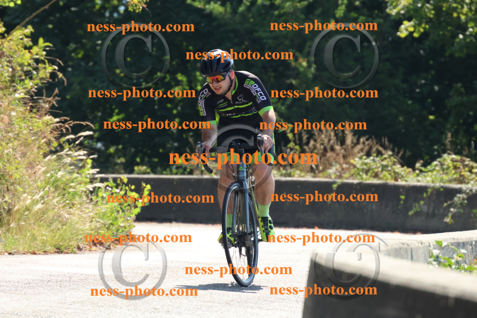 Col du Grand Colombier (71).JPG