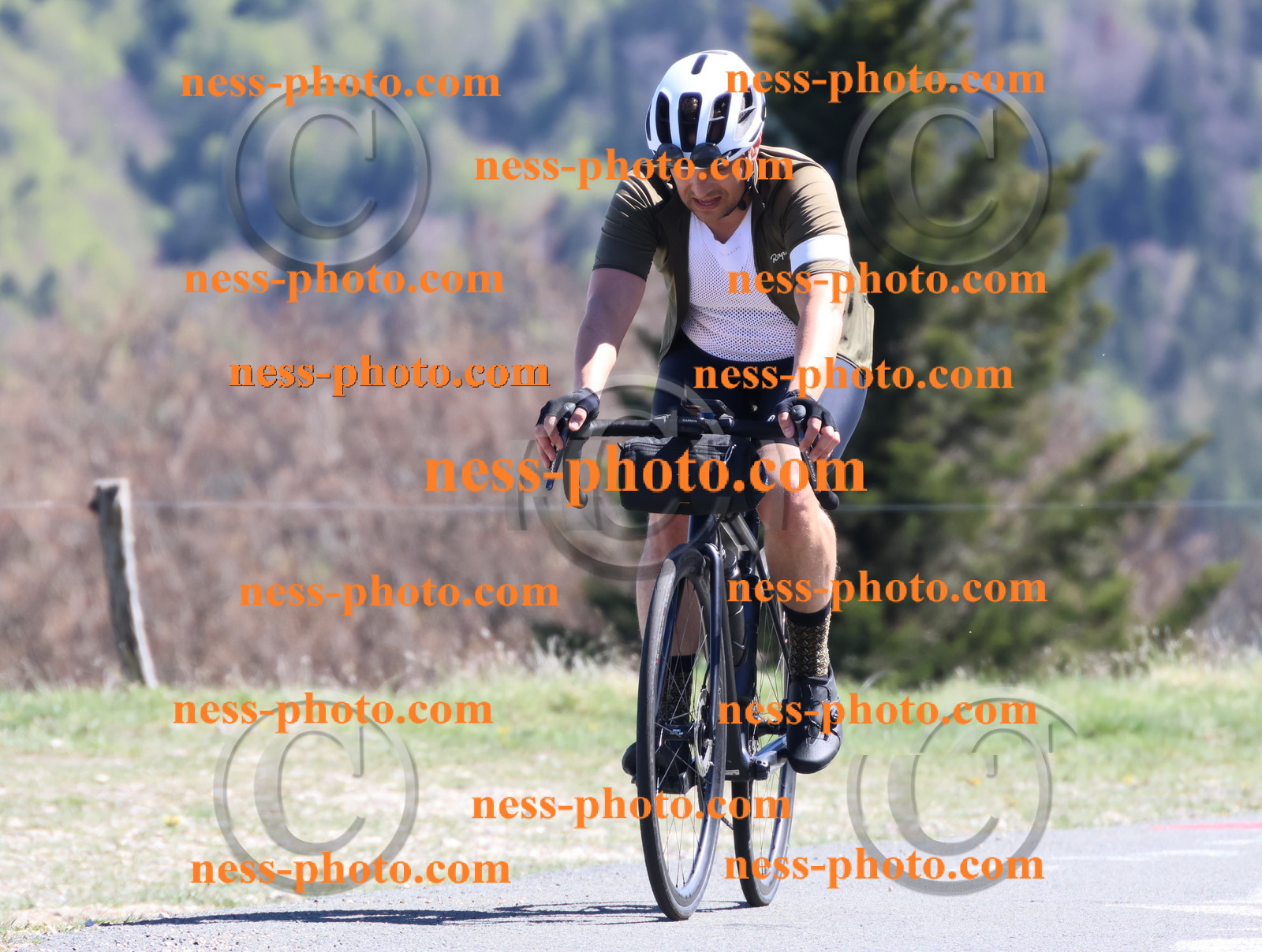 Col du Grand Colombier (992).JPG