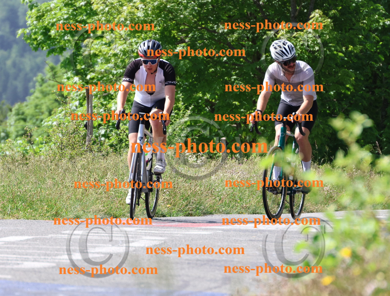 Col du grand Colombier (1015).JPG