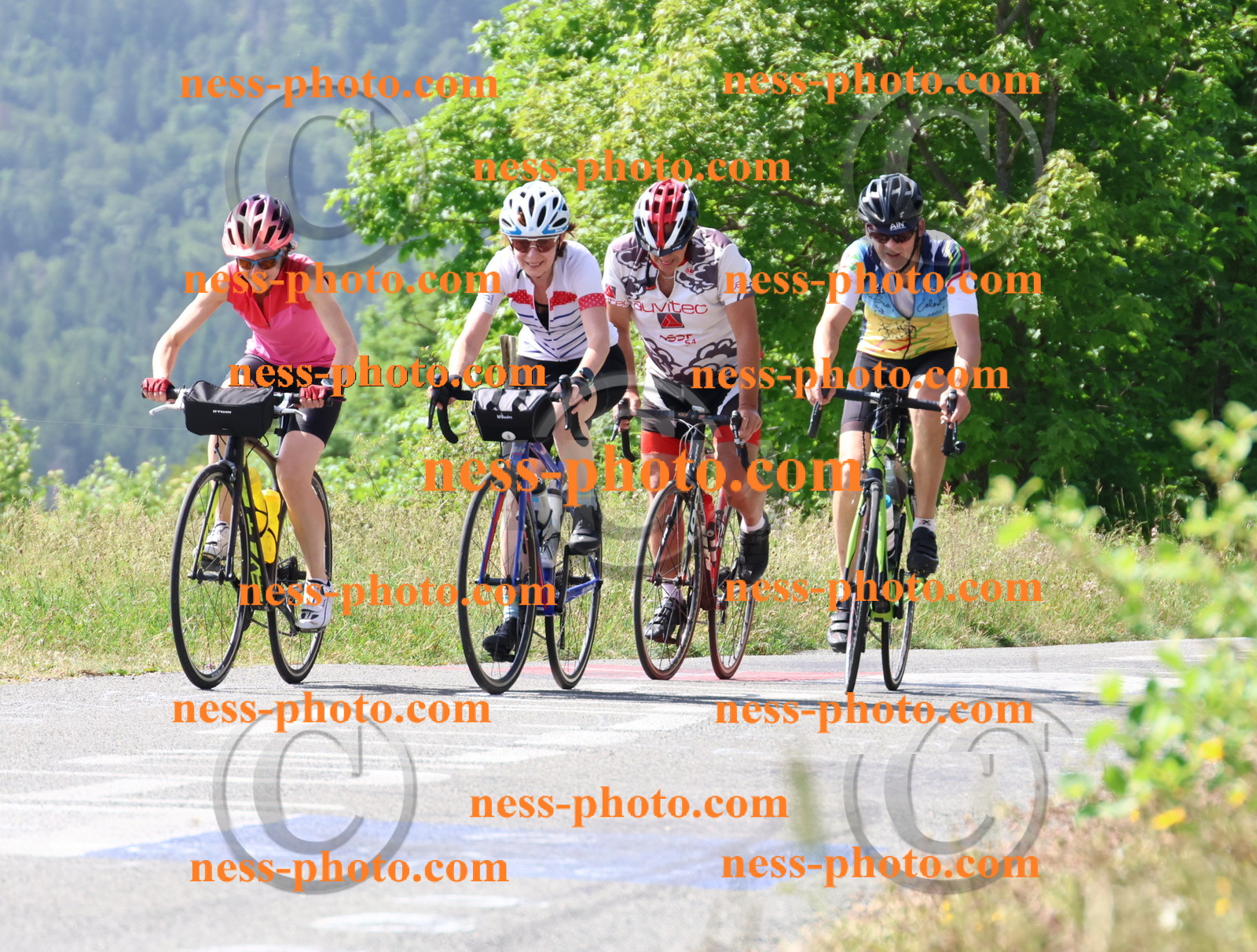 Col du grand Colombier (1007).JPG