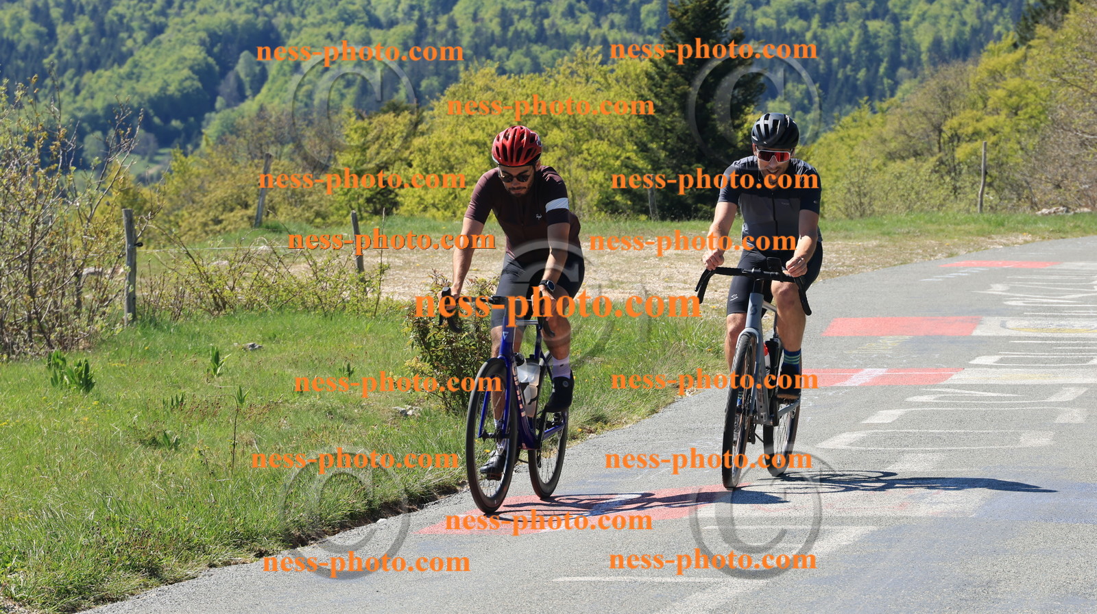 Col du grand Colombier (10).JPG