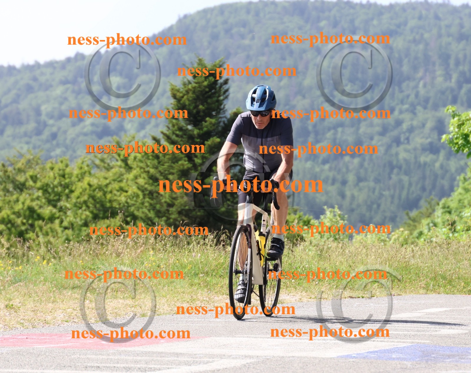 Col du grand Colombier (826).JPG