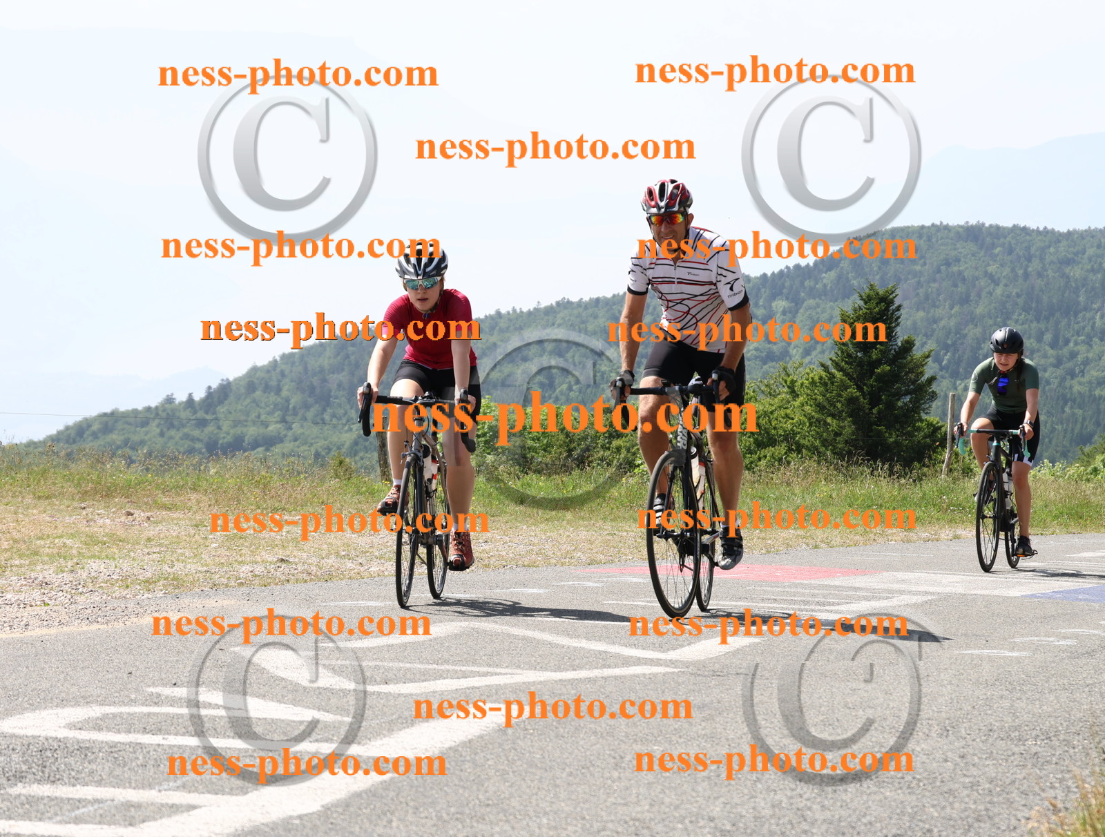 Col du grand Colombier (1453).JPG