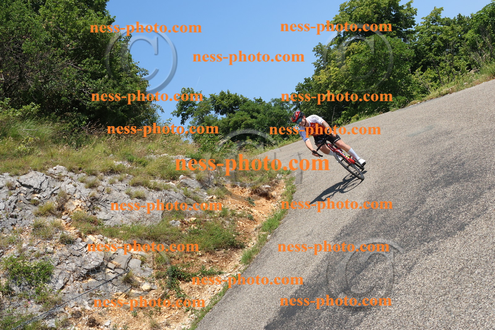 Col du Grand Colombier (477).JPG